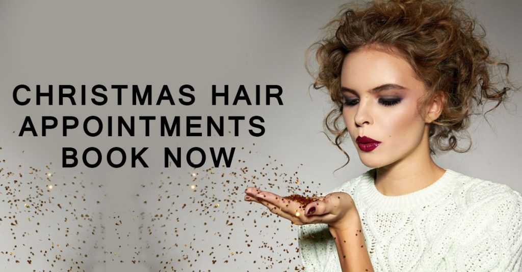 christmas-hair-appointmen-ts-book-now-2